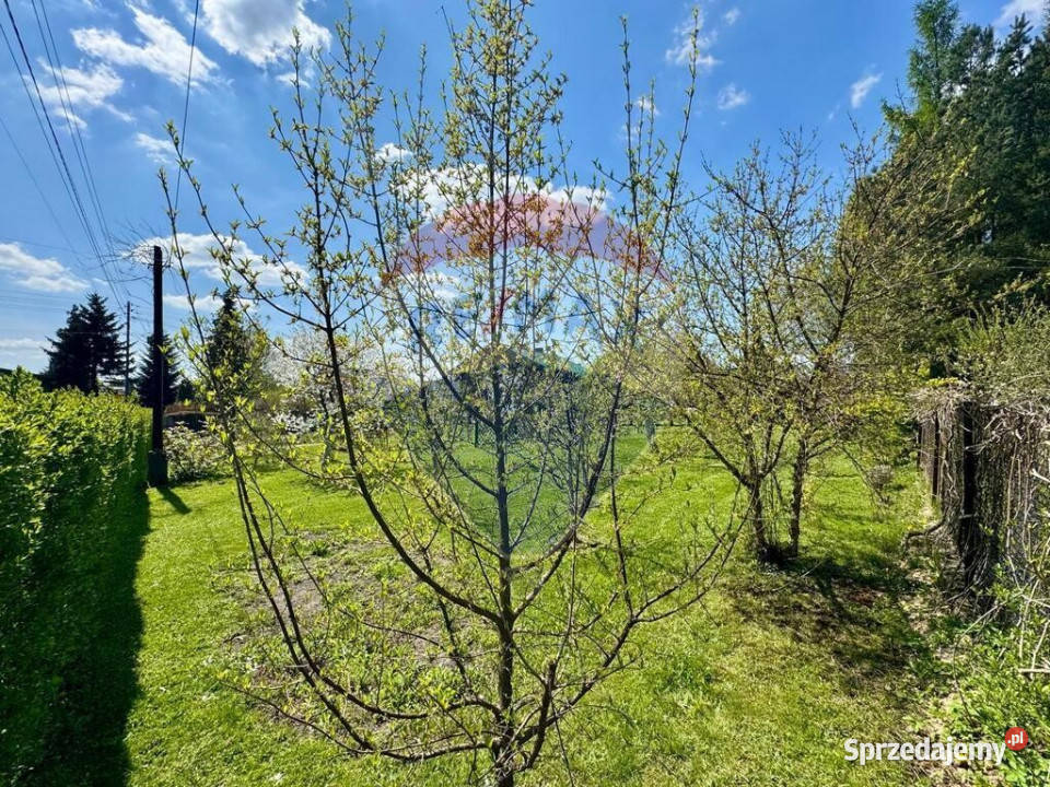 Działka budowlana z ogrodem 800 m śląskie