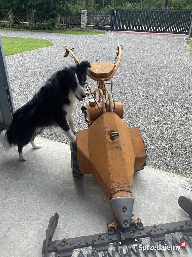 Kosiarka listwowa AGRIA z napędem małopolskie Wolbrom