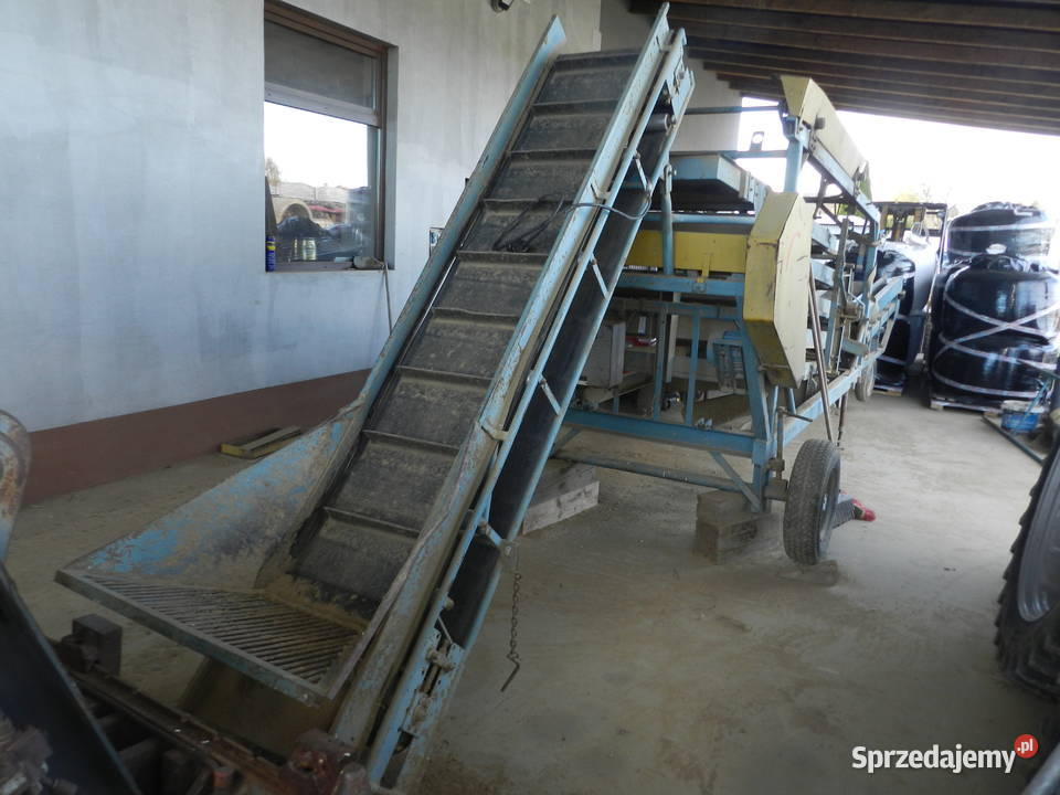 Sortownik do ziemniaków Puck duży Mikołajowice