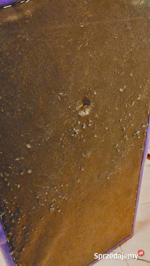 fotel fotelik krzesło krzesełko ze schowkiem wielkopolskie Poznań