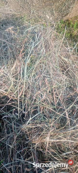 Siano słoma podlaskie sprzedam