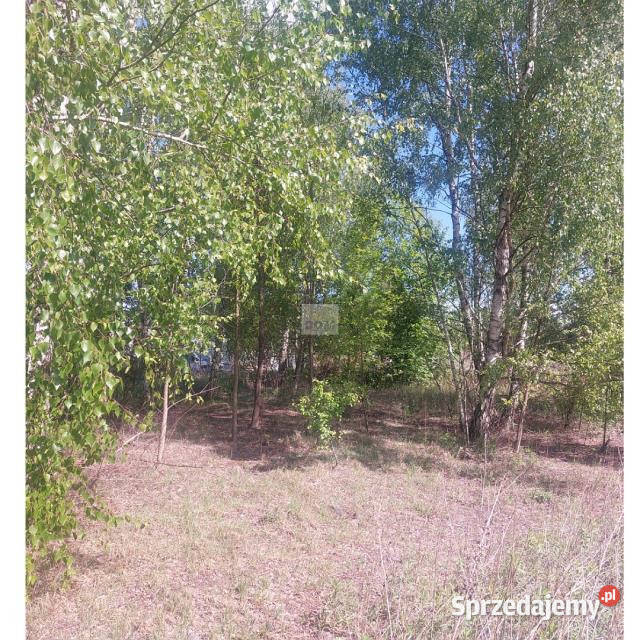 Grunt 1100m2 Stare Grabie sprzedam