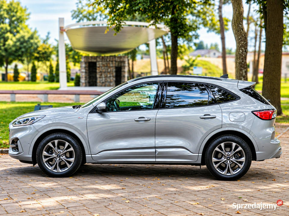 Ford Kuga III 2019 lakier metallic