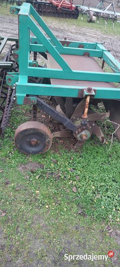 Glebogryzarka lubelskie