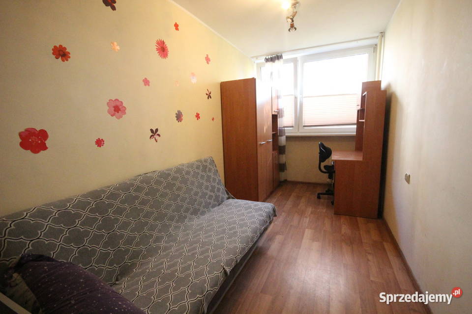3pok 48met Sky Towera WINDAPEŁEN ROZKŁAD Wrocław