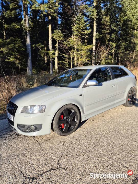 Audi S3 8p ESP śląskie