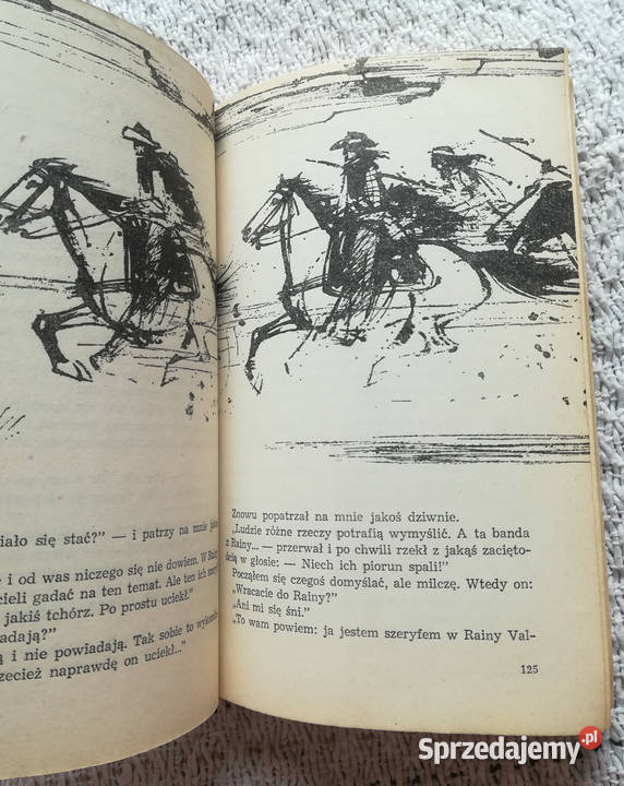 Słońce Arizony Wiesław Wernic literatura piękna - proza zagraniczna Białystok sprzedam