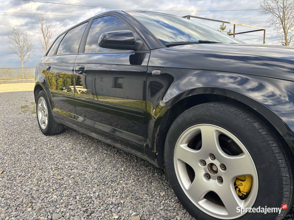 Audi A3 8P 20 TFSI 200 QUATRO 4x4 sportback 5d komputer pokładowy podkarpackie Straszydle