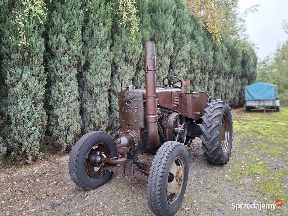 Ciągnik traktor Ursus C 45 Sagan lanz bulldog Ursus Pleszew