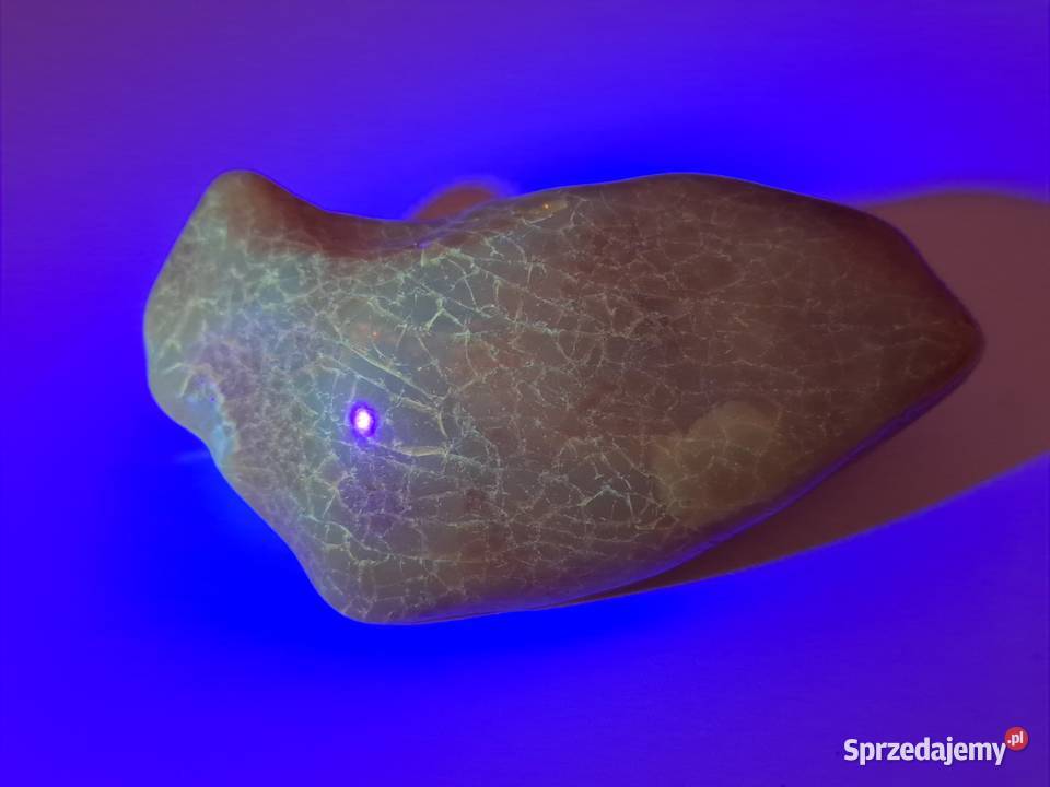 Broszka z bursztynu bursztyn bryłka 1491 mazowieckie Warszawa