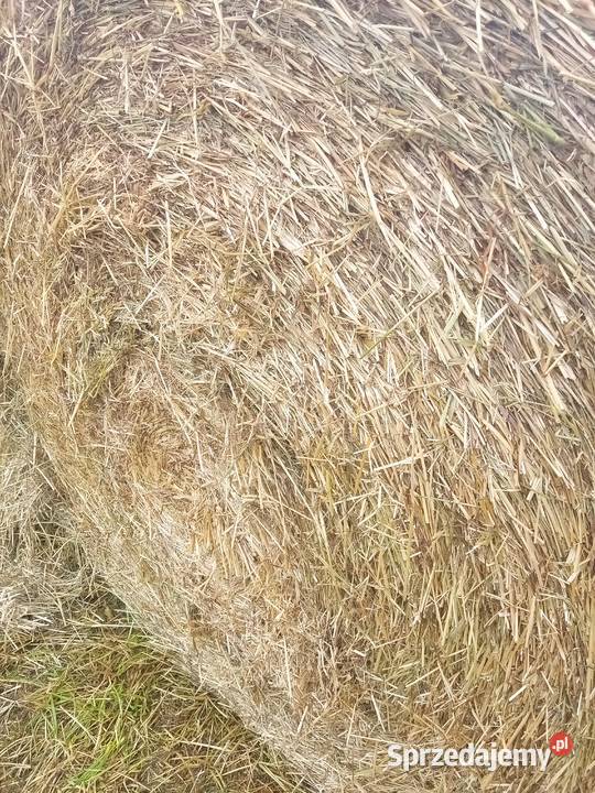 Siano bele 160 nowe z tego roku transport Lublin sprzedam