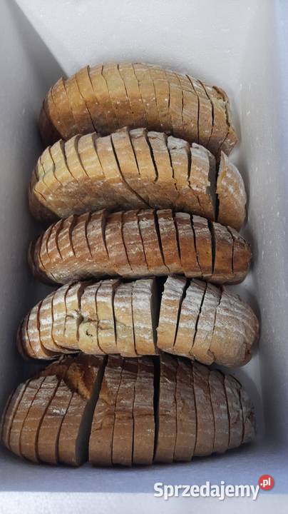 Catering kuchnia polowa grill obsługa imprez pomorskie Gdańsk