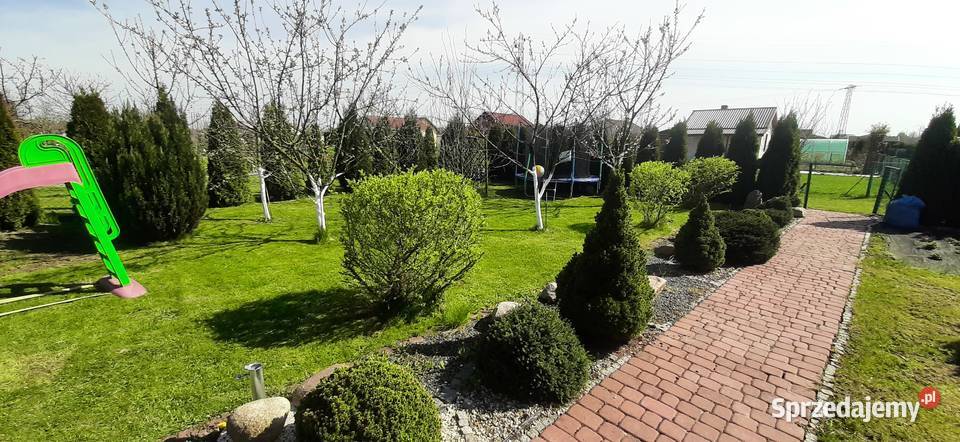 Dzialka rekreacyjna ROD Stokrotka Żory