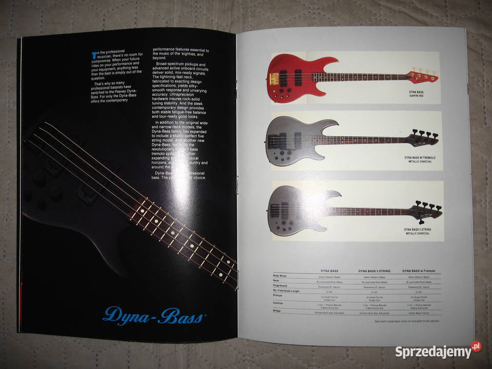 Peavey Fretted Instruments katalog gitar Kępice
