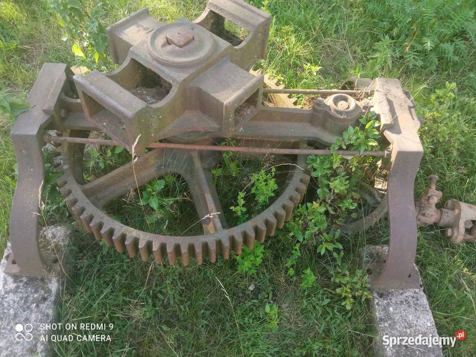 Kierat konny Kamienica Królewska