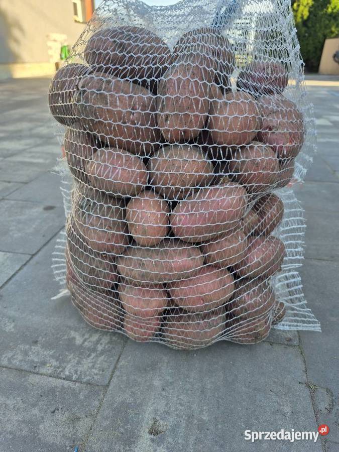 Sprzedam ziemniaki jadalne Płońsk