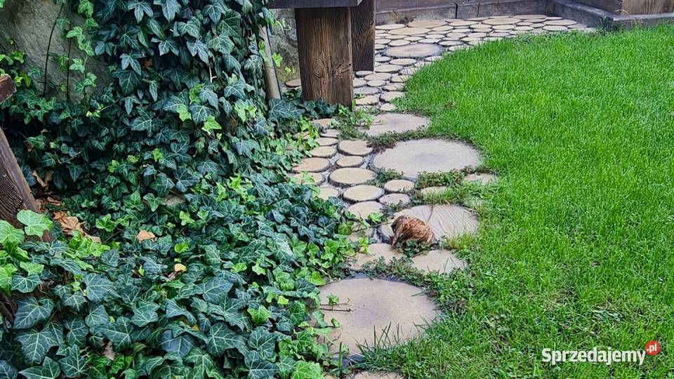 Plastry Drewniane Betonowe Drewno Ozdobne na Gdów