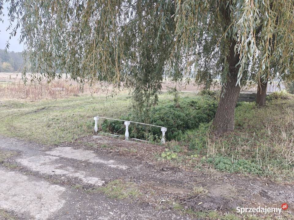 Syndyk sprzeda Kobierne