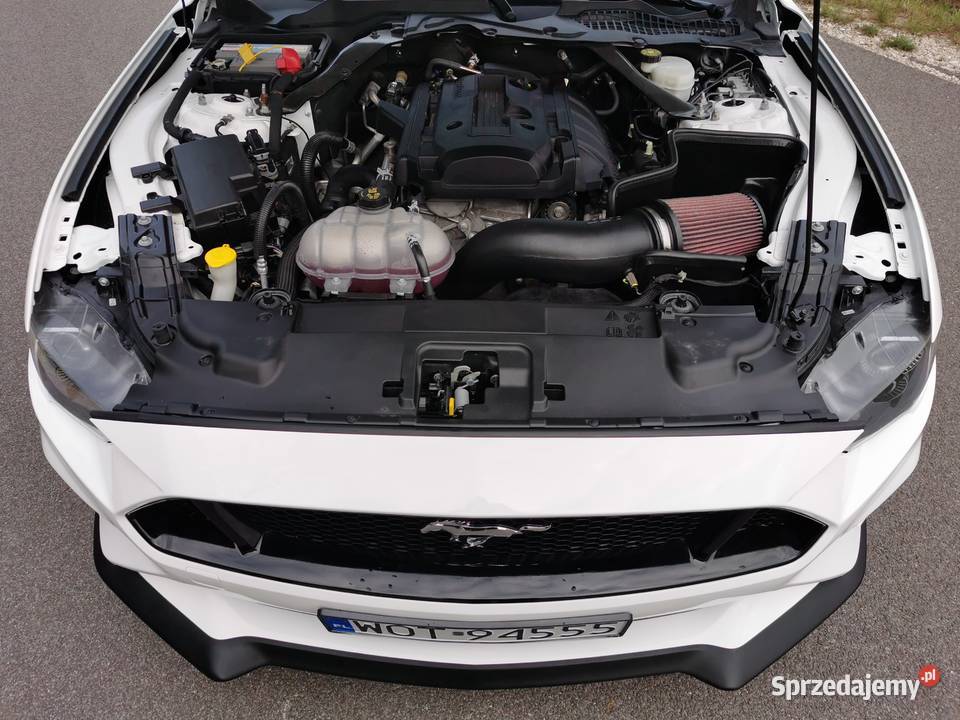 Ford Mustang Kabrio kamera cofania