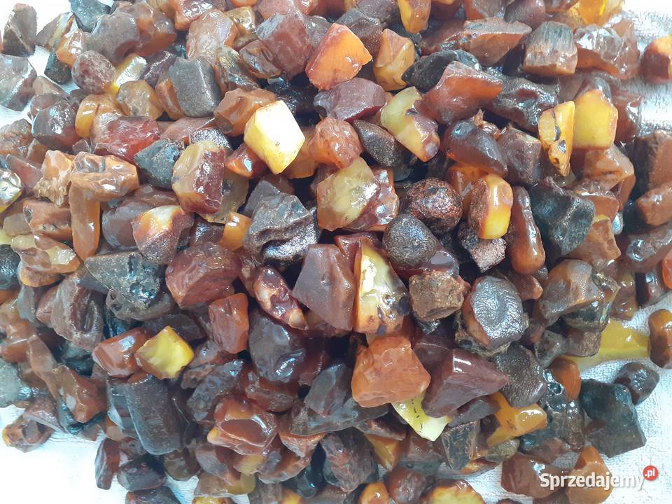 Sprzedam bursztyn surowy Sopot