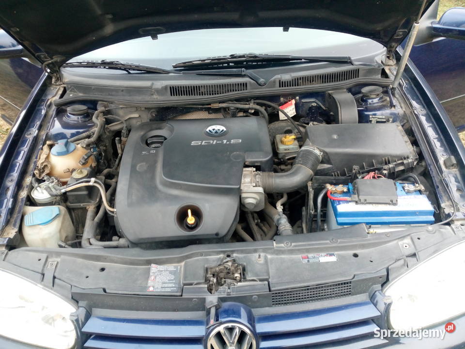 WV Golf IV Stary Dzików