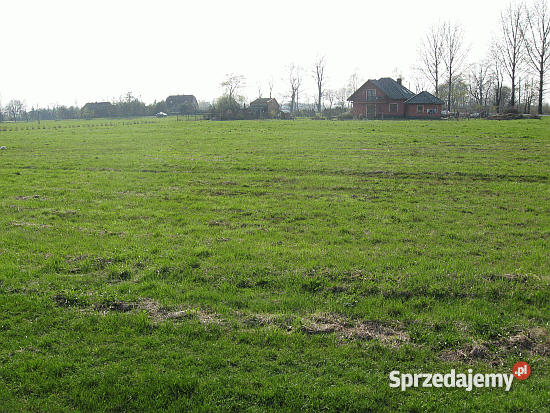 działka budowlanagmOświęcim Pławy