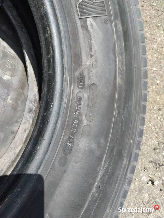 michelin 10r225 Borek
