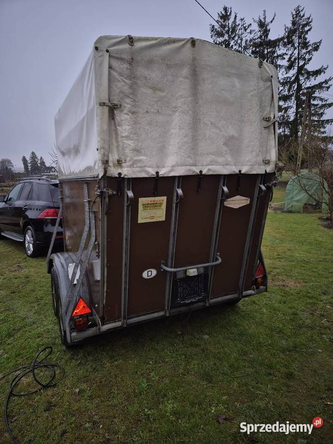 Przyczepa do Koni Linia