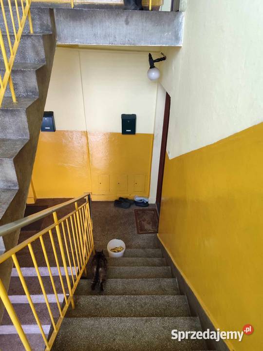 Tanie mieszkanie Równe gmina Dukla podkarpackie sprzedam