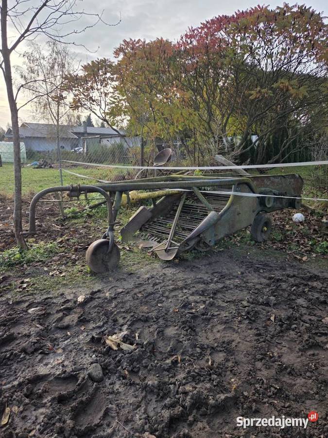 Sprzedam kopaczke elewatorową Agromasz Białachowo