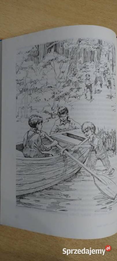 Chłopcy z placu broni Rok wydania 1990 Lublin sprzedam