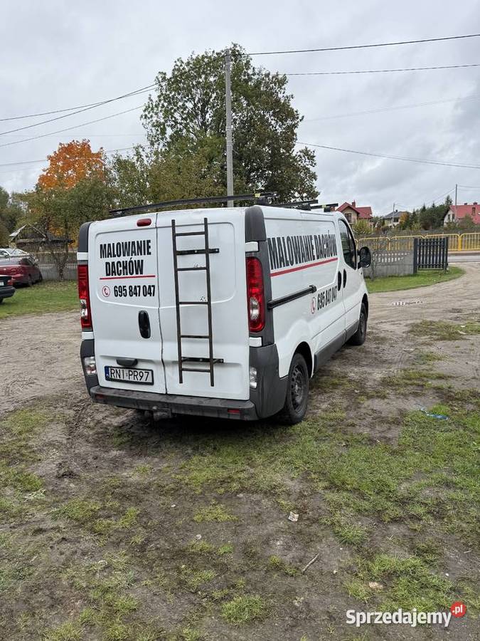 Opel Vivaro 2010 2000cm3 Jeżowe