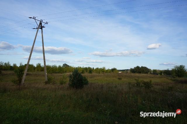 Pułtusk Kleszewo 35 ha DOSKONAŁA POD INWESTYCJĘ Pułtusk
