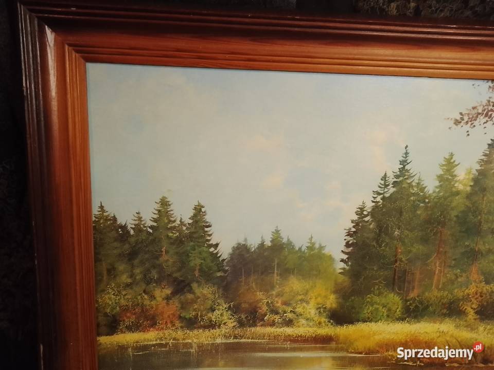 Pejzaż Helmut GlasslObrazStaw otoczony Świdnik