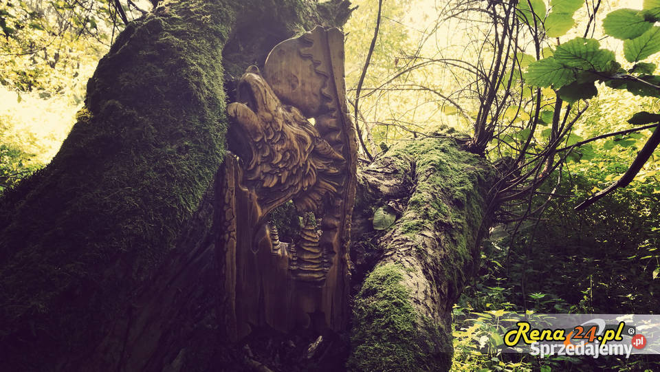 Wilk w pełni Płaskorzeźba w drewnie