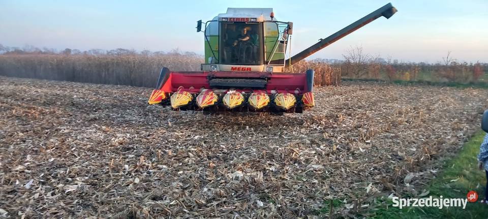 BISO Cornpower 675 2010r Części Wilkowo