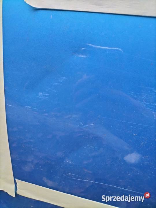 Ford Ka 2 drzwi lewe Rok produkcji 2009 Stalowa Wola