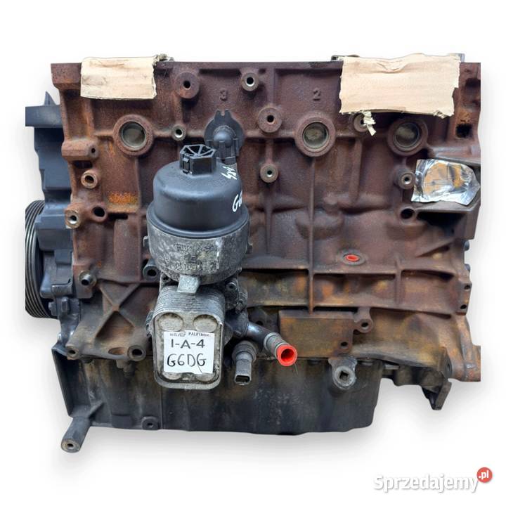 DÓŁ SILNIKA G6DG Ford Kuga 20 TDCI 136 diesel Silniki kompletne Chełm