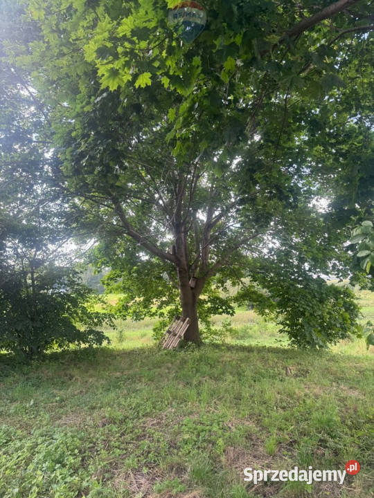 Przezmark działka 2038 m jeziora i lasów 34.5m