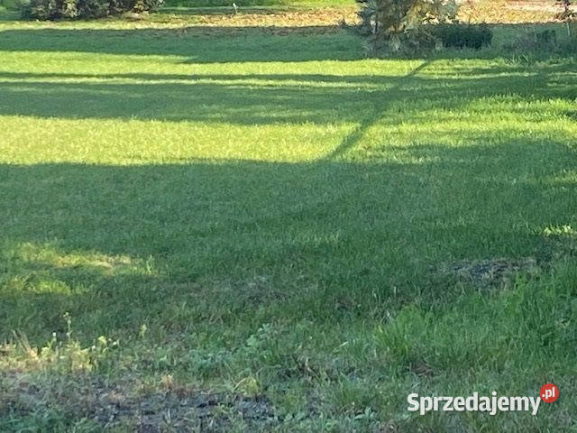 Do sprzedaży grunt Kryniczno 1200m2