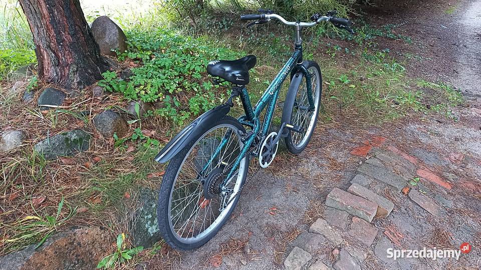 Włoski Rower Górski Mtb Retro Vintage Girardengo dolnośląskie