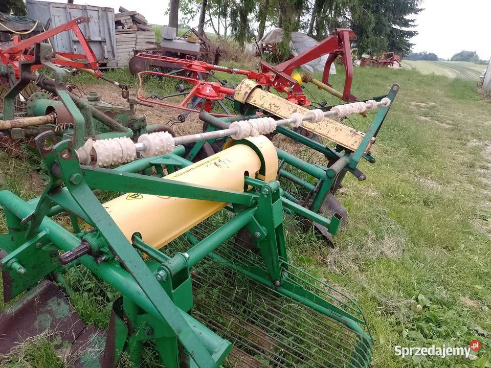 Kopaczka z koszem Jastrzębia