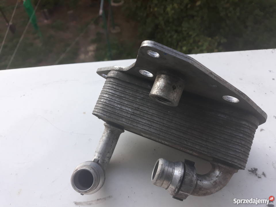 CHŁODNICA OLEJU 55565958 6534234 OPEL A20DTH sprzedam