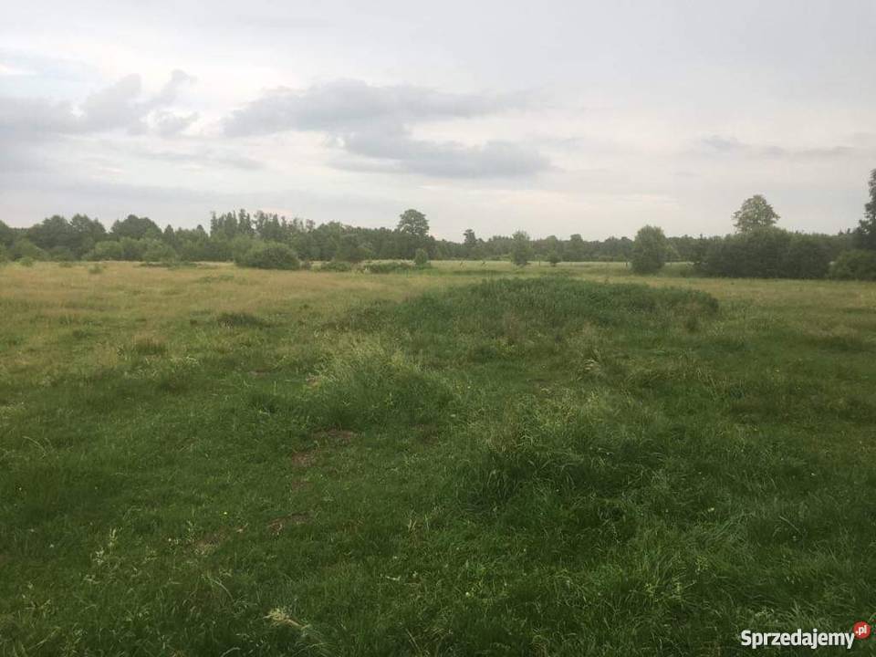 Działka rolnosiedliskowa 50300 m2 Pilicą siedliskowa łódzkie Łęg Ręczyński