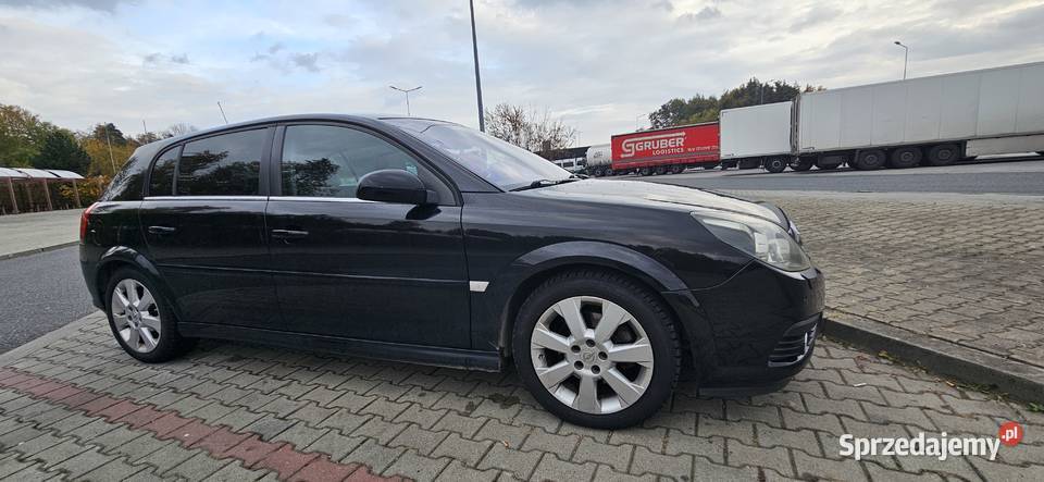 Opel Signum elektryczne lusterka małopolskie