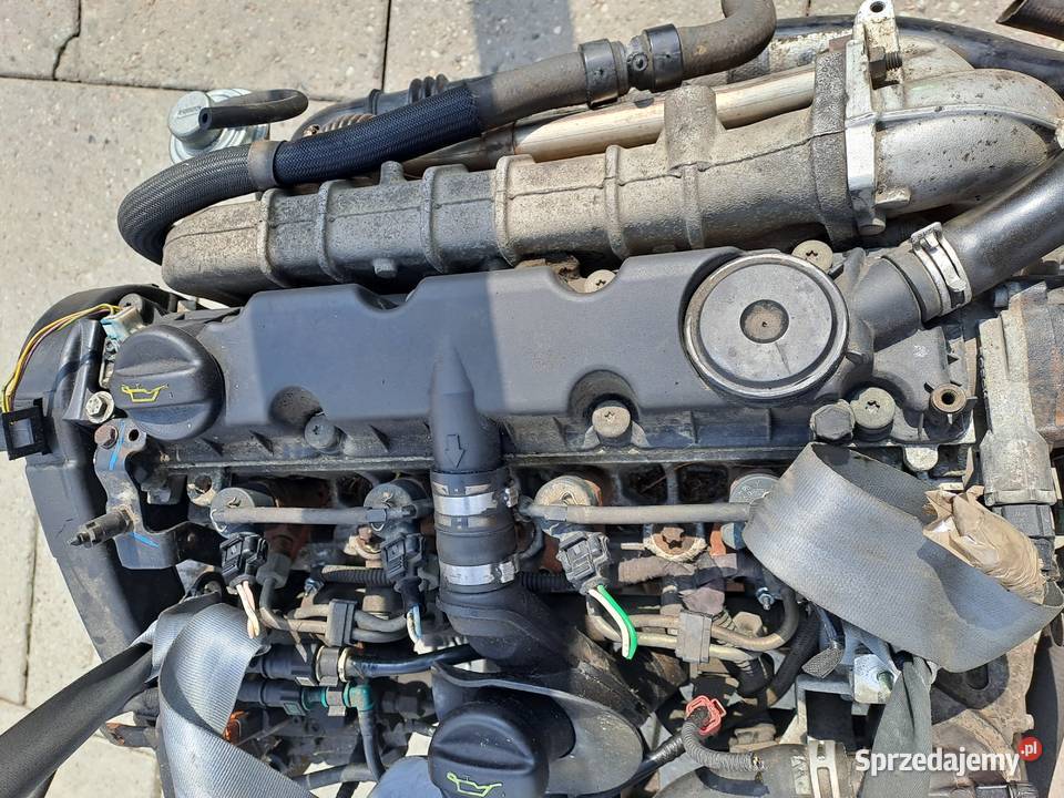Citroen Peugeot 20 HDi 90 silnik kompletny kod Jastrzębie-Zdrój sprzedam