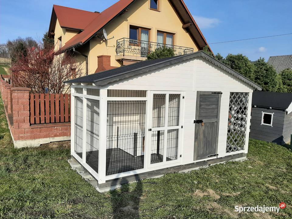 Kojec psa Jordanów