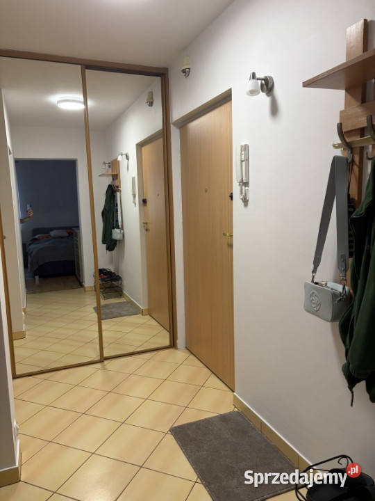 Kawalerka Szczecin