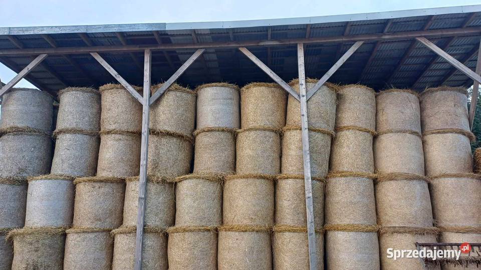 Bole słomy owsiane pszenne pszenżytnie Borzęcin