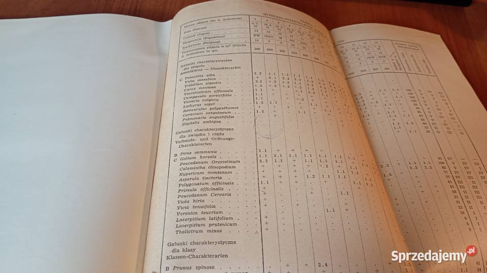 Roślinność Dziewiczej Góry pod Poznaniem Halina Rok wydania 1953 Kultura i Rozrywka pomorskie Gdańsk
